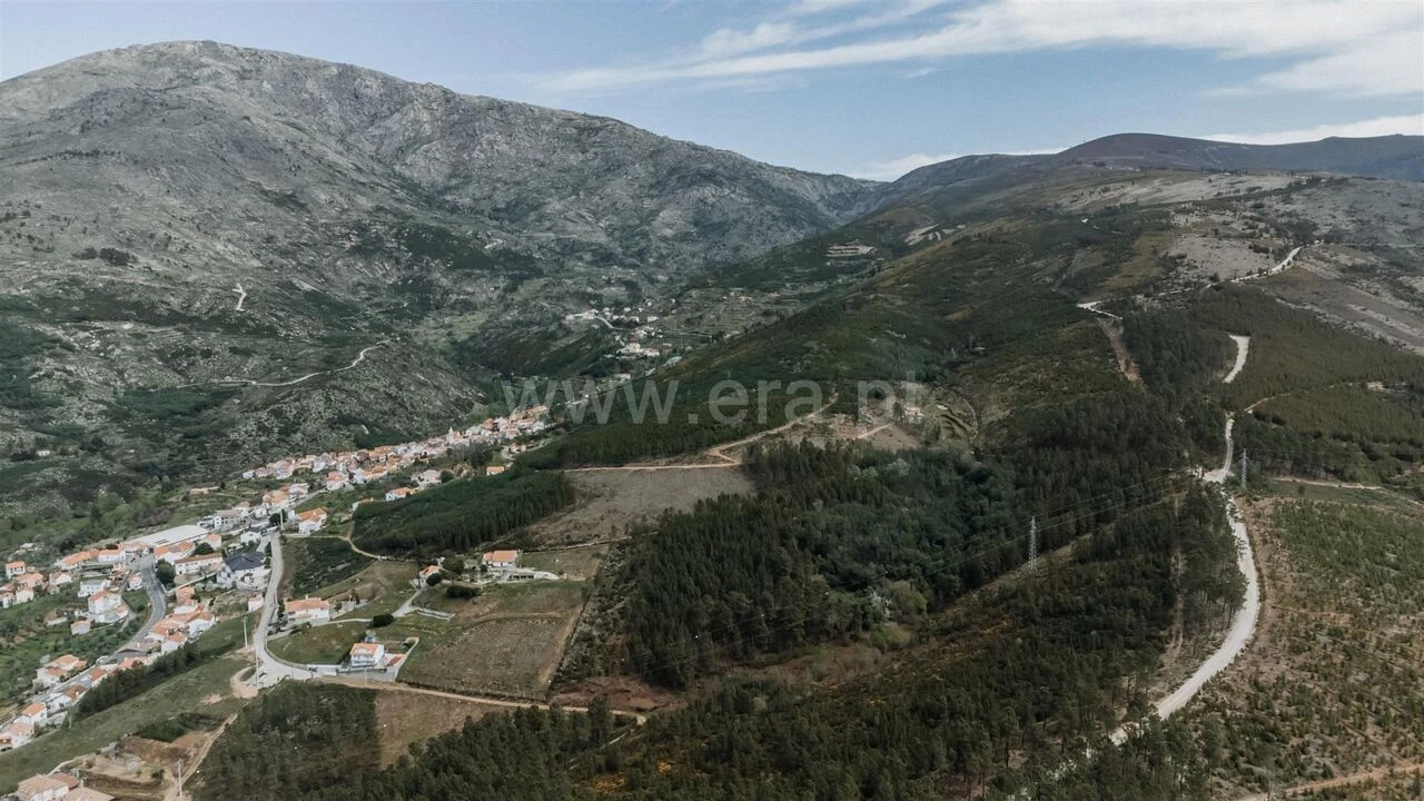 Terreno para Venda em Cortes do Meio Foto 3