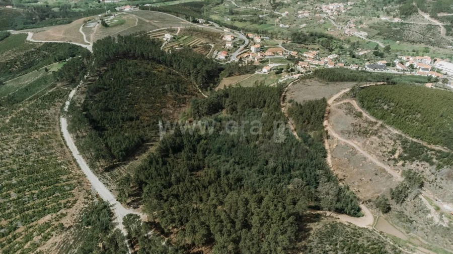Terreno para Venda em Cortes do Meio