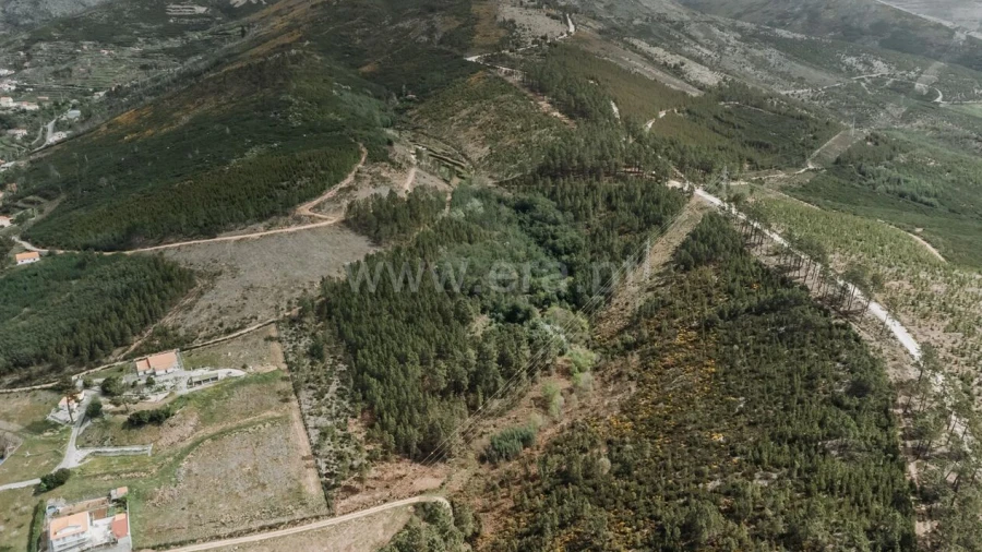 Terreno para Venda em Cortes do Meio