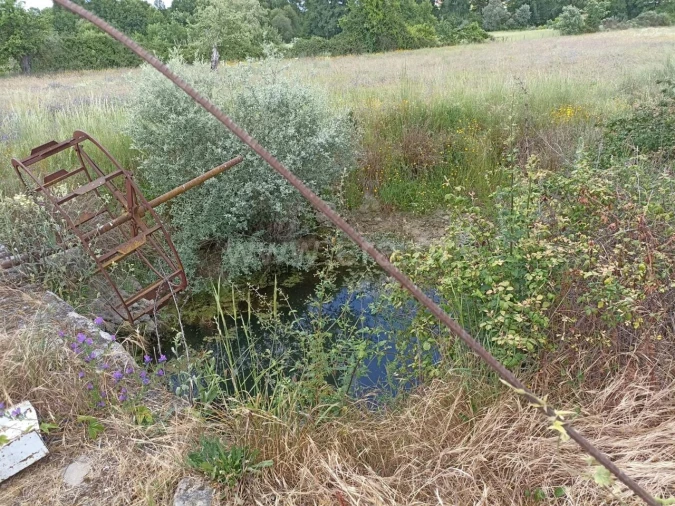 Terreno para Venda em Caria Foto 5