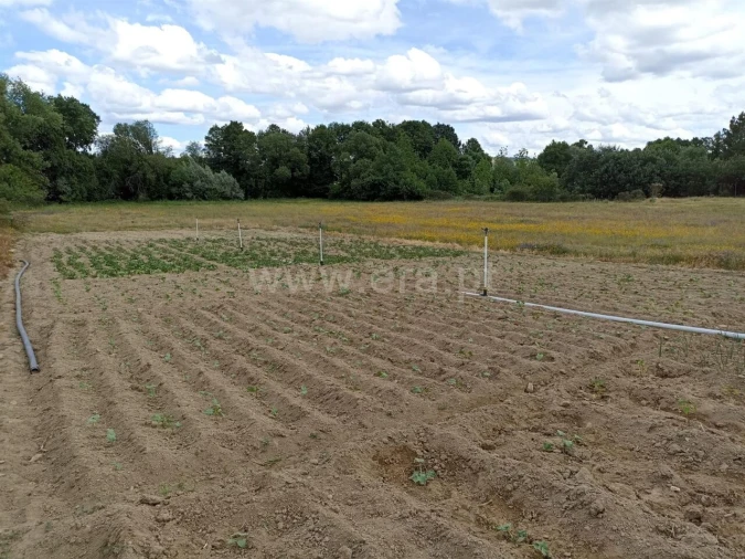 Terreno para Venda em Caria