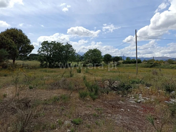Terreno para Venda em Caria Foto 11