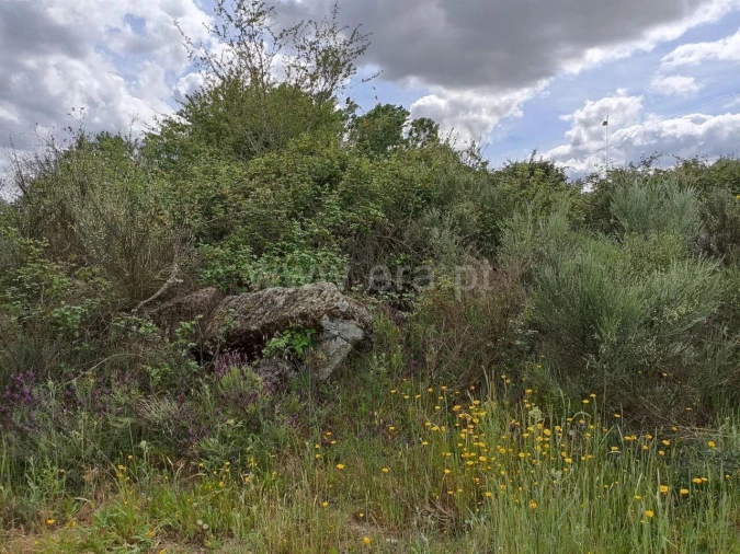Terreno para Venda em Caria Foto 9