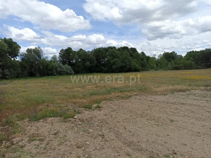 Terreno para Venda em Caria Foto 3
