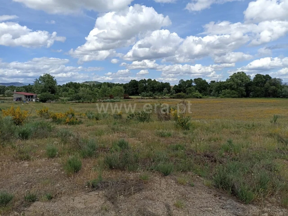 Terreno para Venda em Caria Foto 7