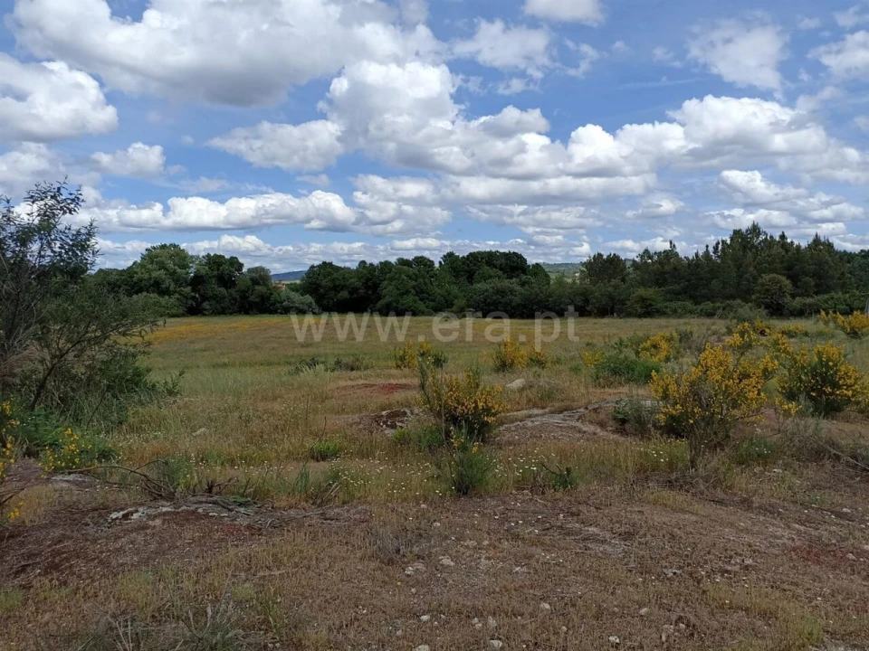 Terreno para Venda em Caria Foto 10