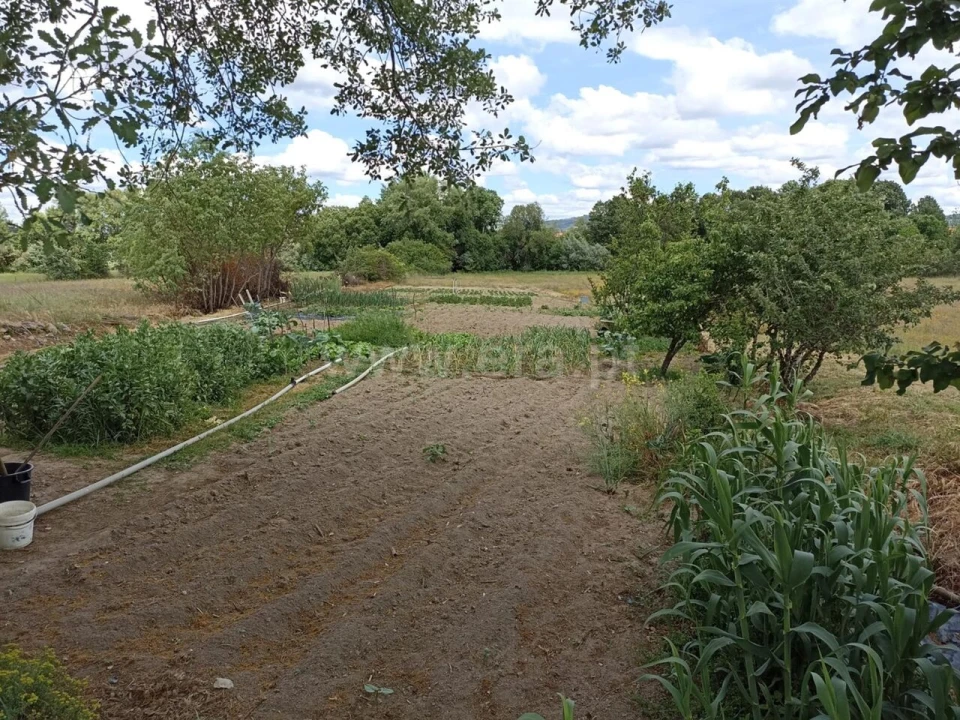 Terreno para Venda em Caria Foto 6