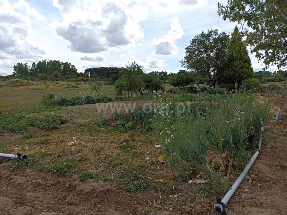 Terreno para Venda em Caria Foto 4