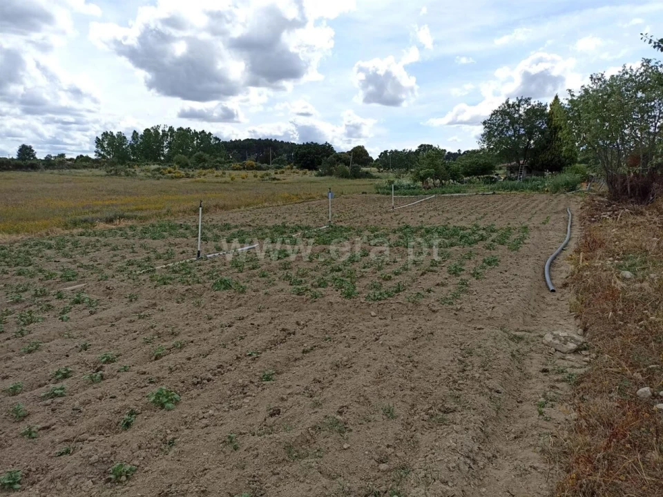 Terreno para Venda em Caria Foto 2