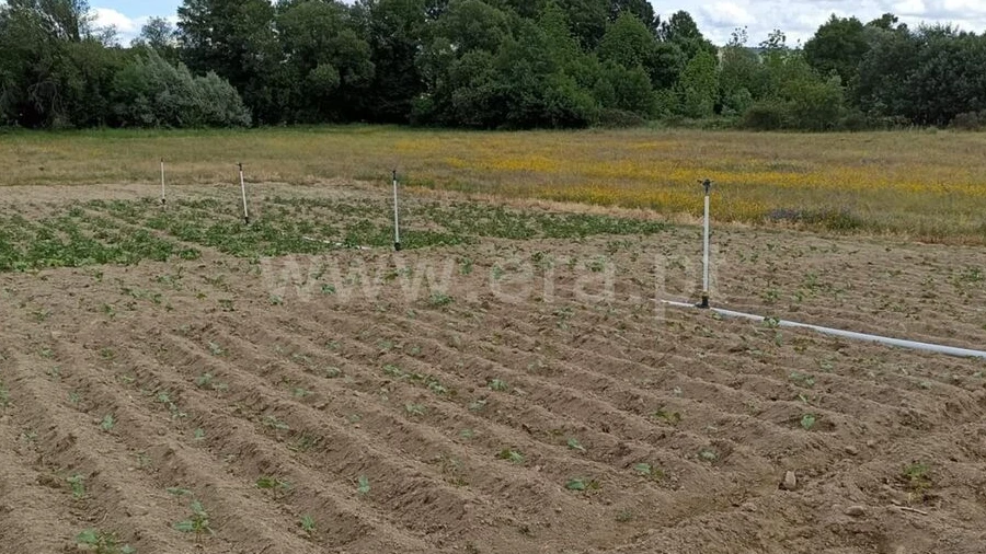Terreno para Venda em Caria