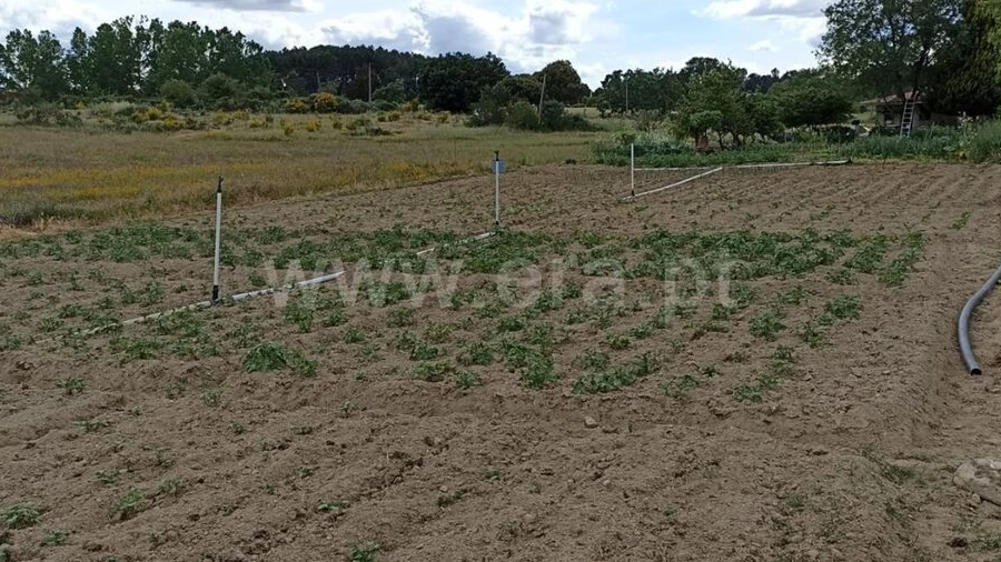 Terreno para Venda em Caria