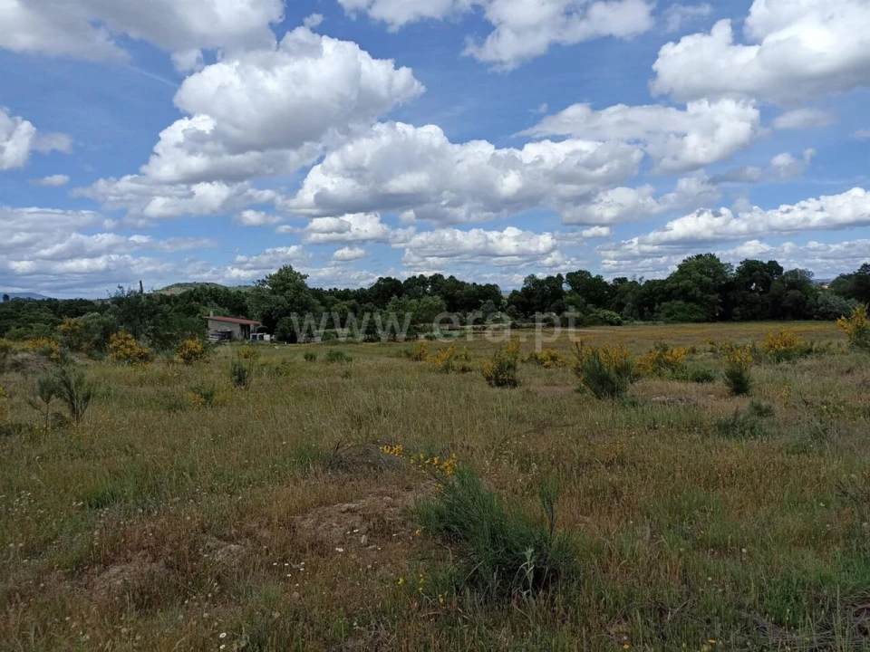 Terreno para Venda em Caria Foto 8