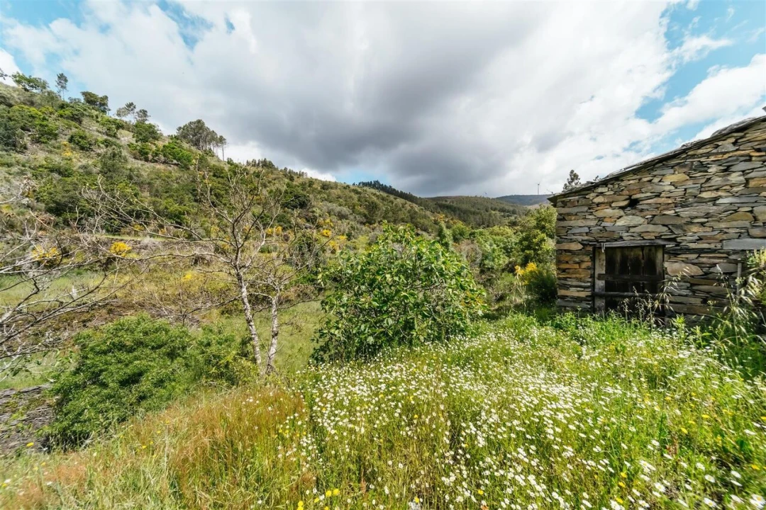 Terreno para Venda em Sobral de São Miguel Foto 15