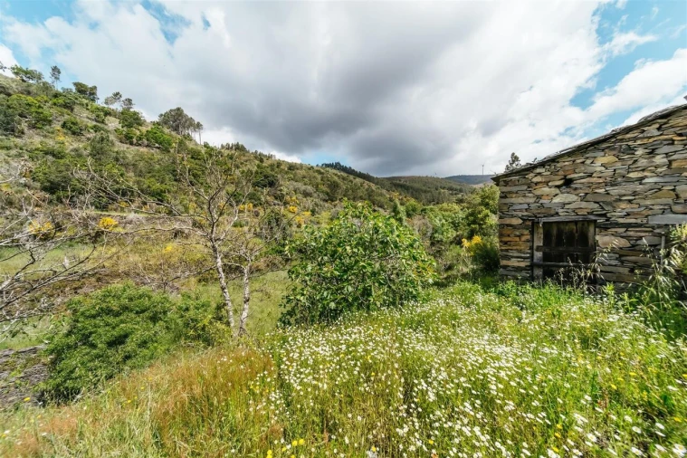 Terreno para Venda em Sobral de São Miguel Foto 15