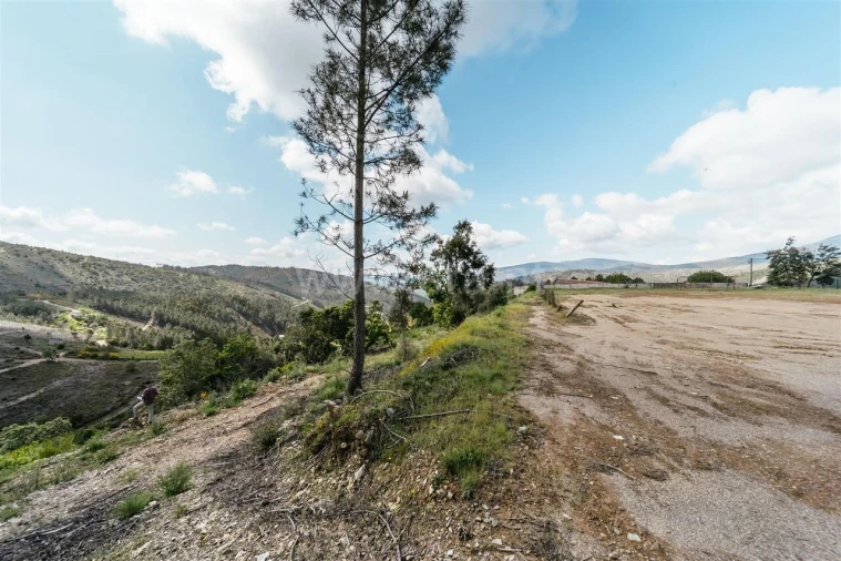 Terreno para Venda em Sobral de São Miguel Foto 6