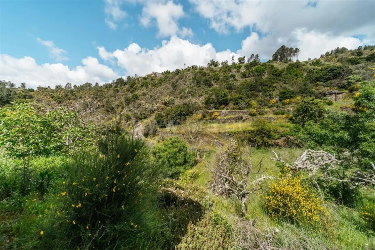 Terreno para Venda em Sobral de São Miguel Foto 10