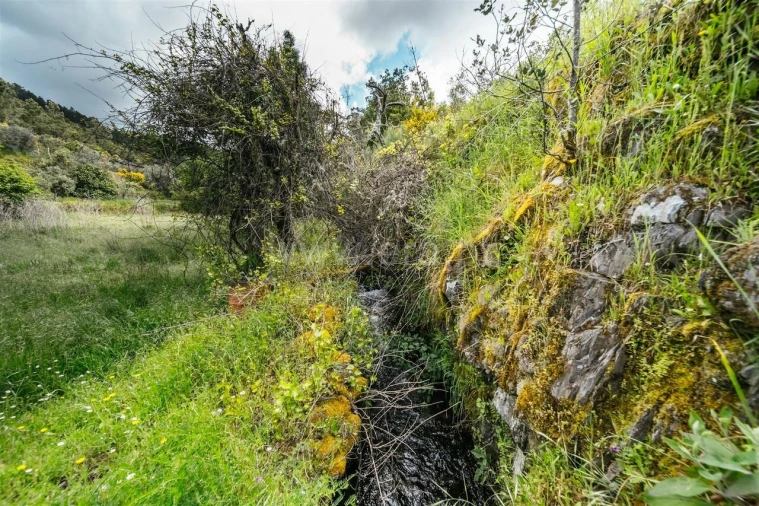 Terreno para Venda em Sobral de São Miguel Foto 19