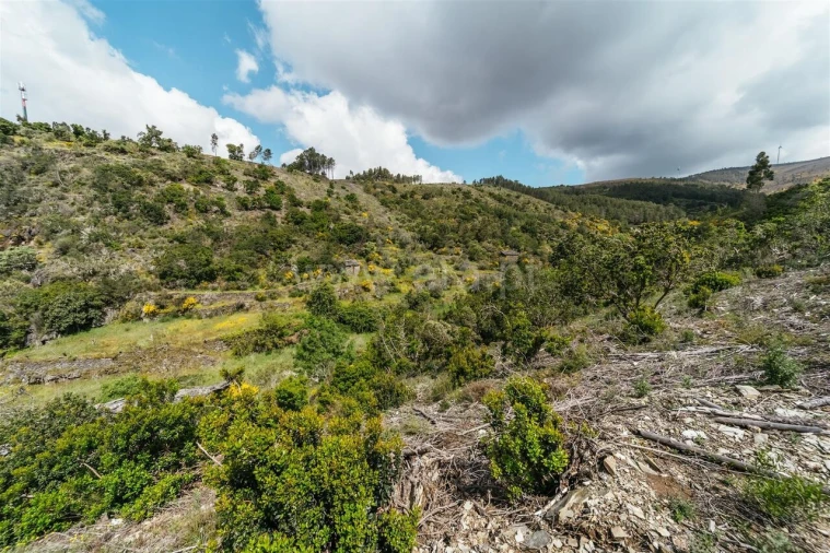 Terreno para Venda em Sobral de São Miguel Foto 9