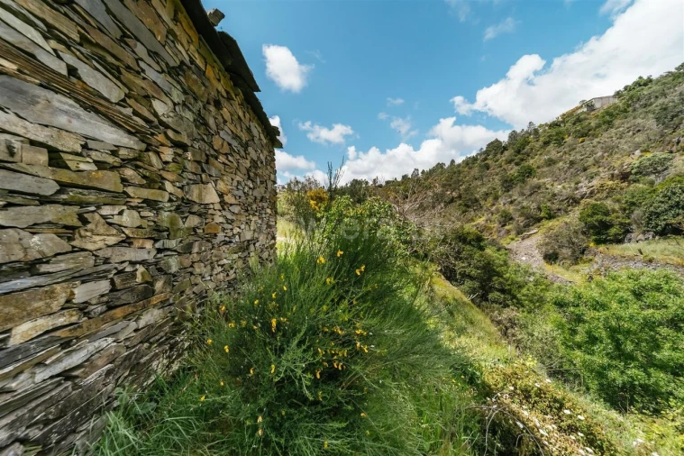 Terreno para Venda em Sobral de São Miguel Foto 14