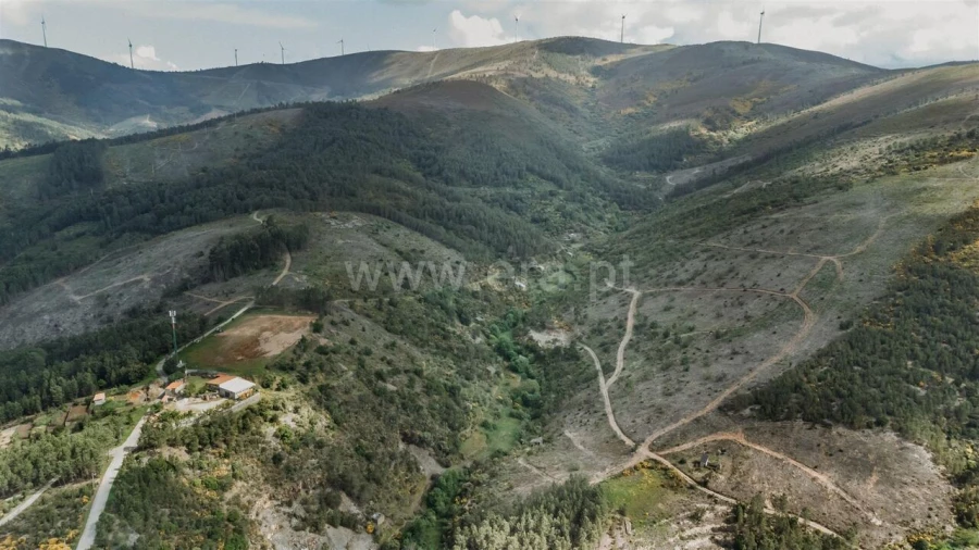 Terreno para Venda em Sobral de São Miguel Foto 2