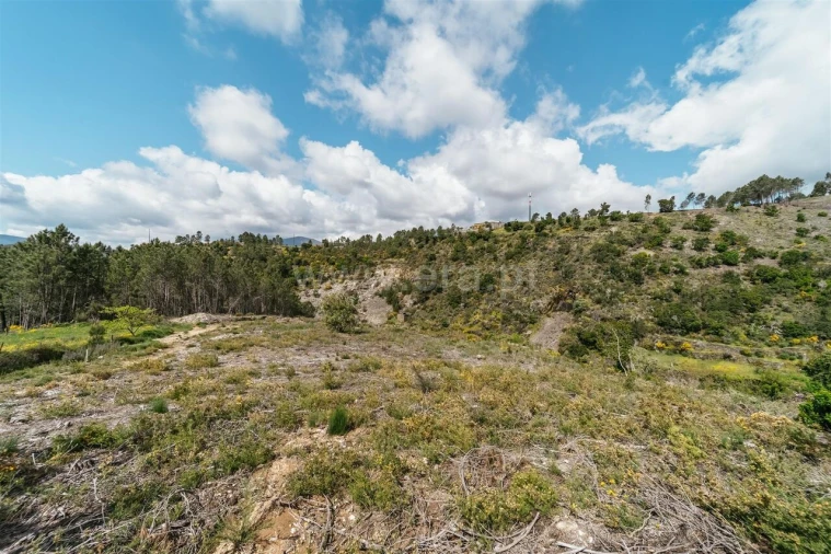 Terreno para Venda em Sobral de São Miguel Foto 8