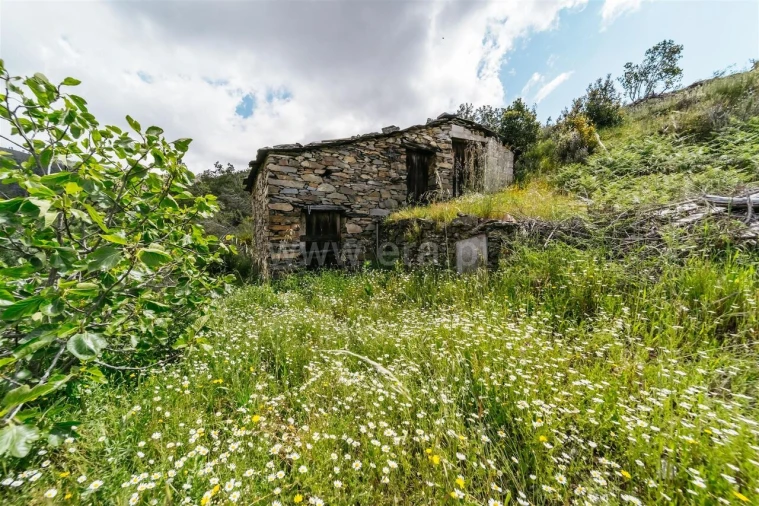 Terreno para Venda em Sobral de São Miguel Foto 1