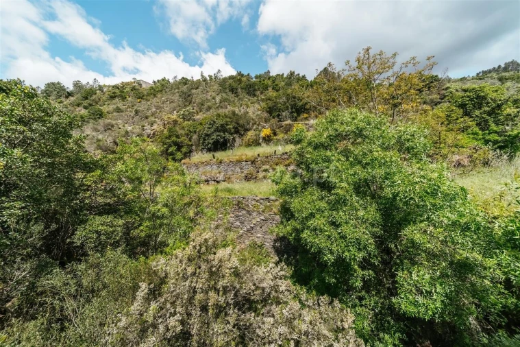 Terreno para Venda em Sobral de São Miguel Foto 11