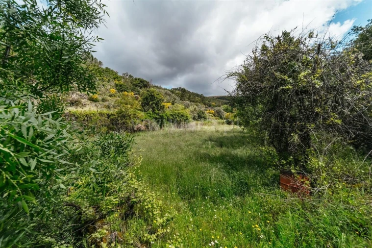 Terreno para Venda em Sobral de São Miguel Foto 18