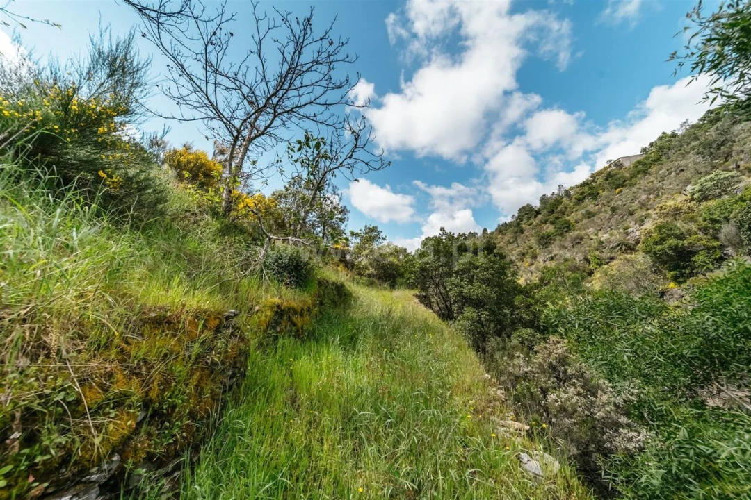 Terreno para Venda em Sobral de São Miguel Foto 17