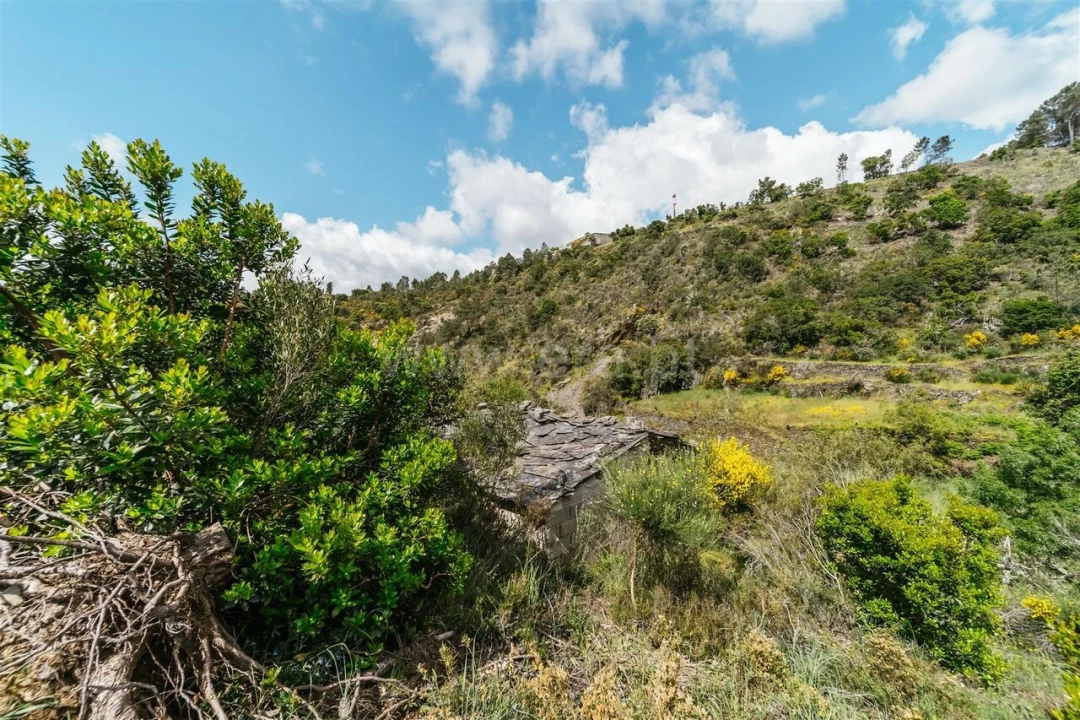 Terreno para Venda em Sobral de São Miguel Foto 12