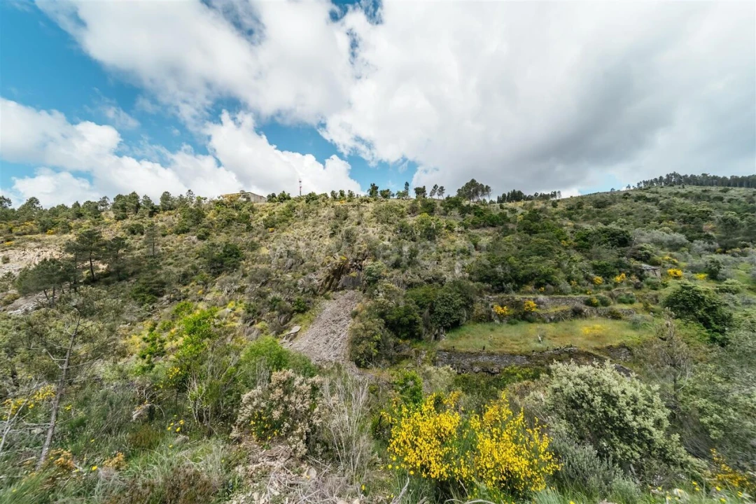 Terreno para Venda em Sobral de São Miguel Foto 20