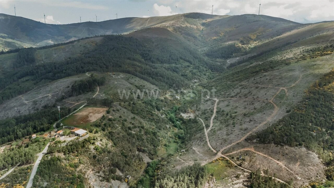 Terreno para Venda em Sobral de São Miguel Foto 2