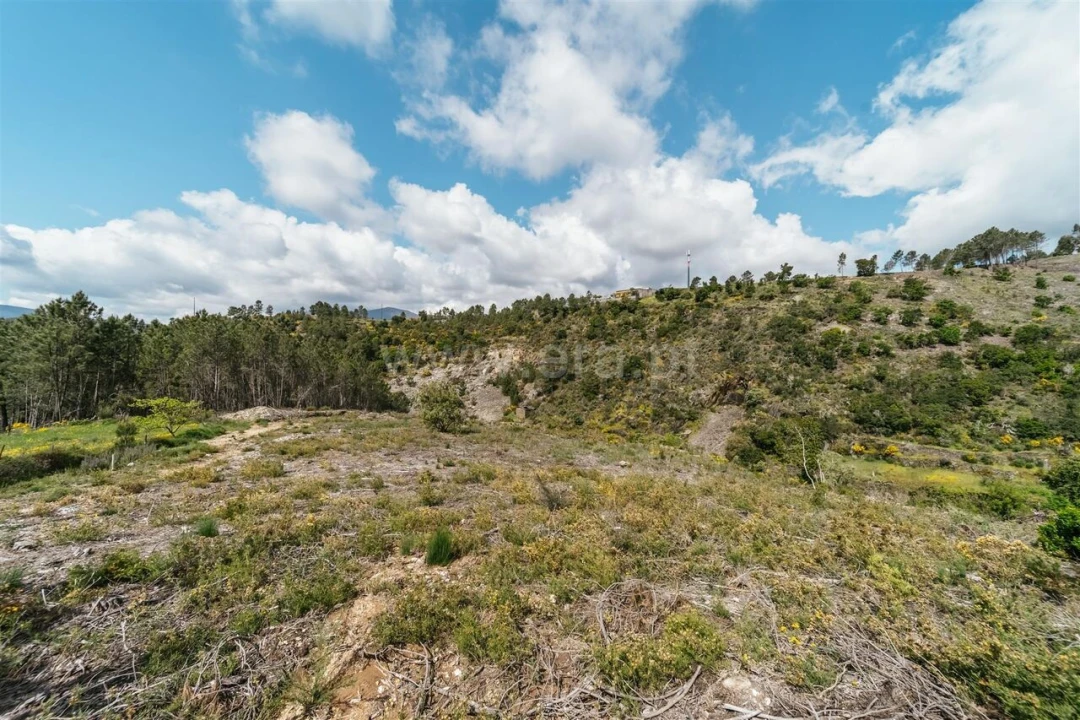Terreno para Venda em Sobral de São Miguel Foto 8
