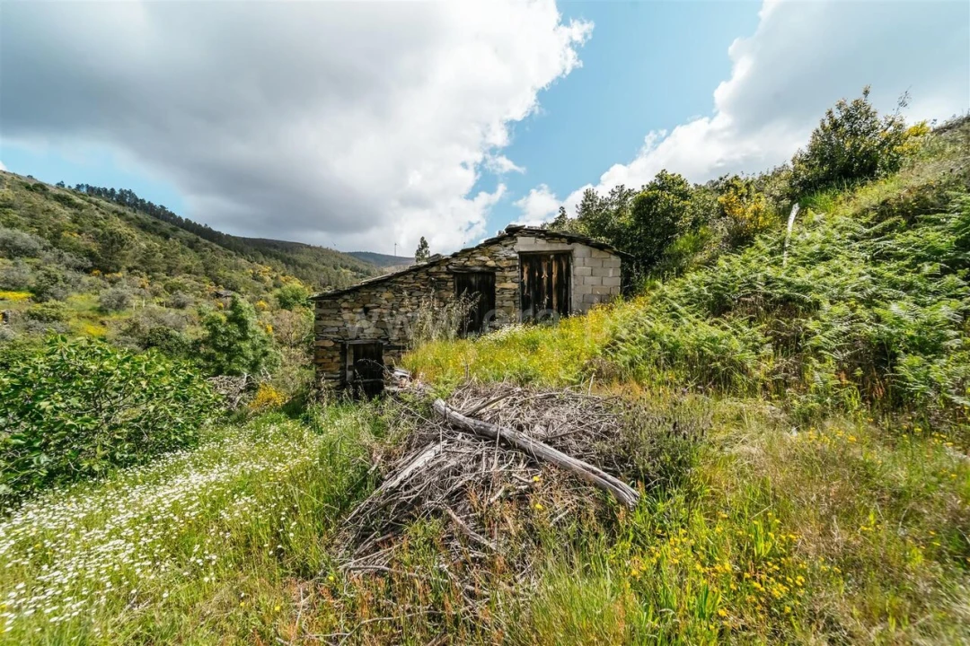 Terreno para Venda em Sobral de São Miguel Foto 16