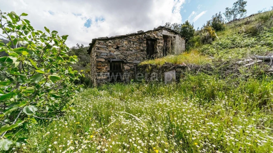 Terreno para Venda em Sobral de São Miguel