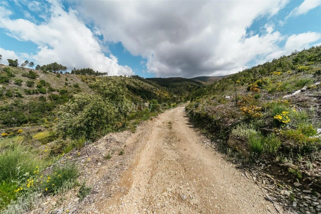 Terreno para Venda em Sobral de São Miguel Foto 7