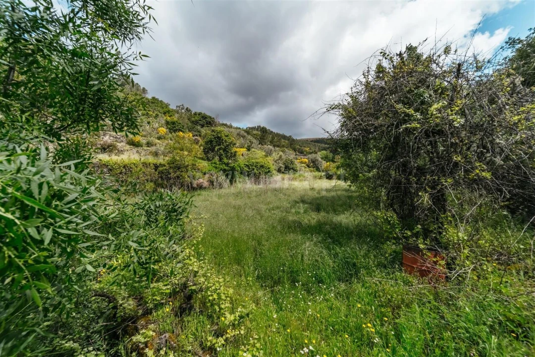 Terreno para Venda em Sobral de São Miguel Foto 18