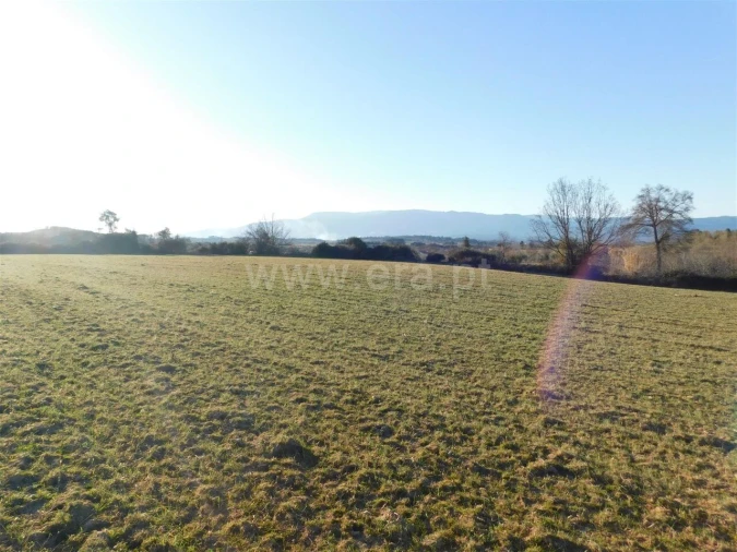 Terreno para Venda em Caria Foto 7