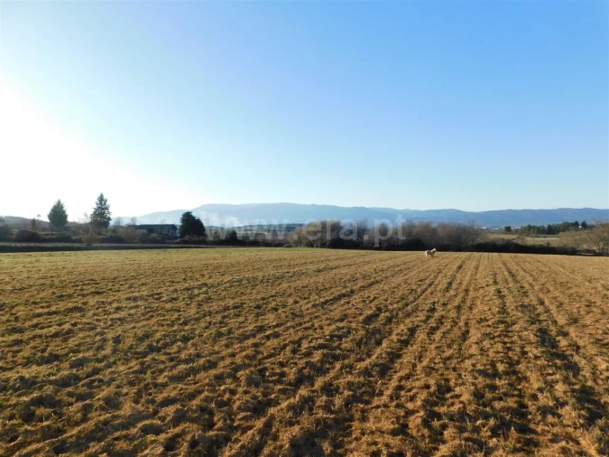Terreno para Venda em Caria Foto 4