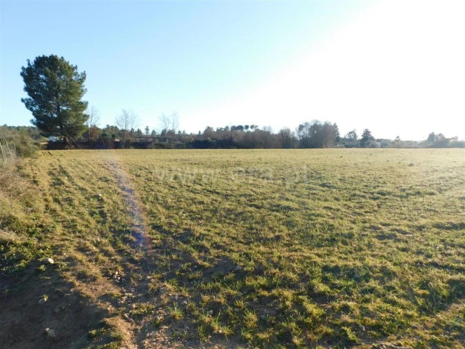 Terreno para Venda em Caria Foto 13