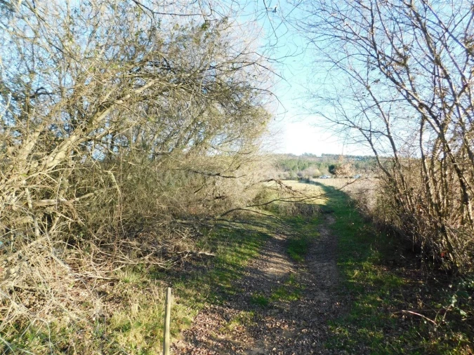 Terreno para Venda em Caria Foto 10