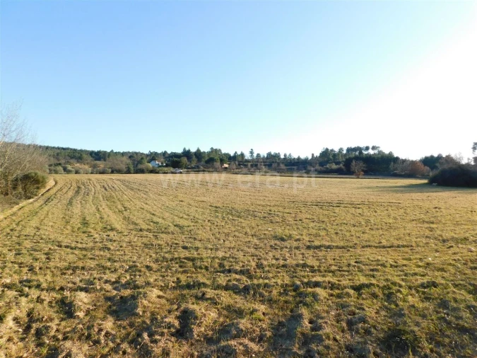 Terreno para Venda em Caria Foto 6