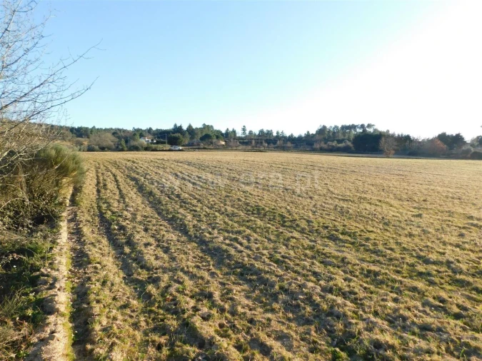 Terreno para Venda em Caria Foto 15