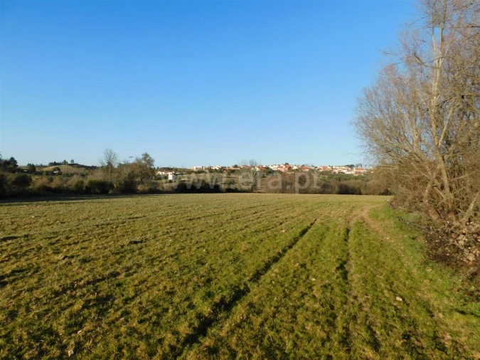 Terreno para Venda em Caria Foto 9