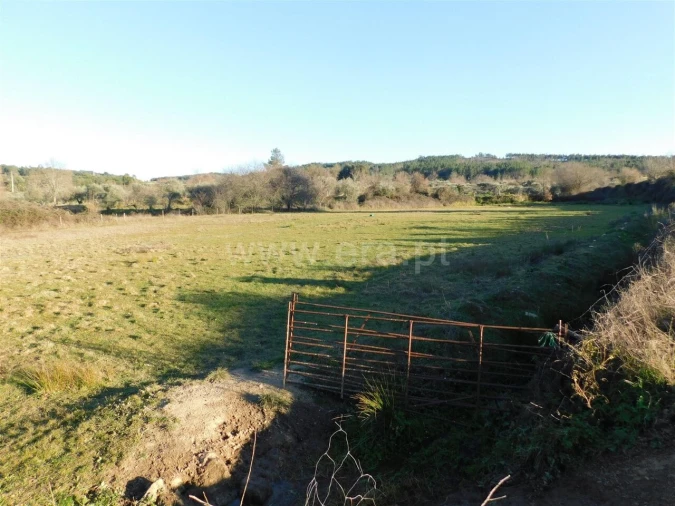 Terreno para Venda em Caria Foto 12