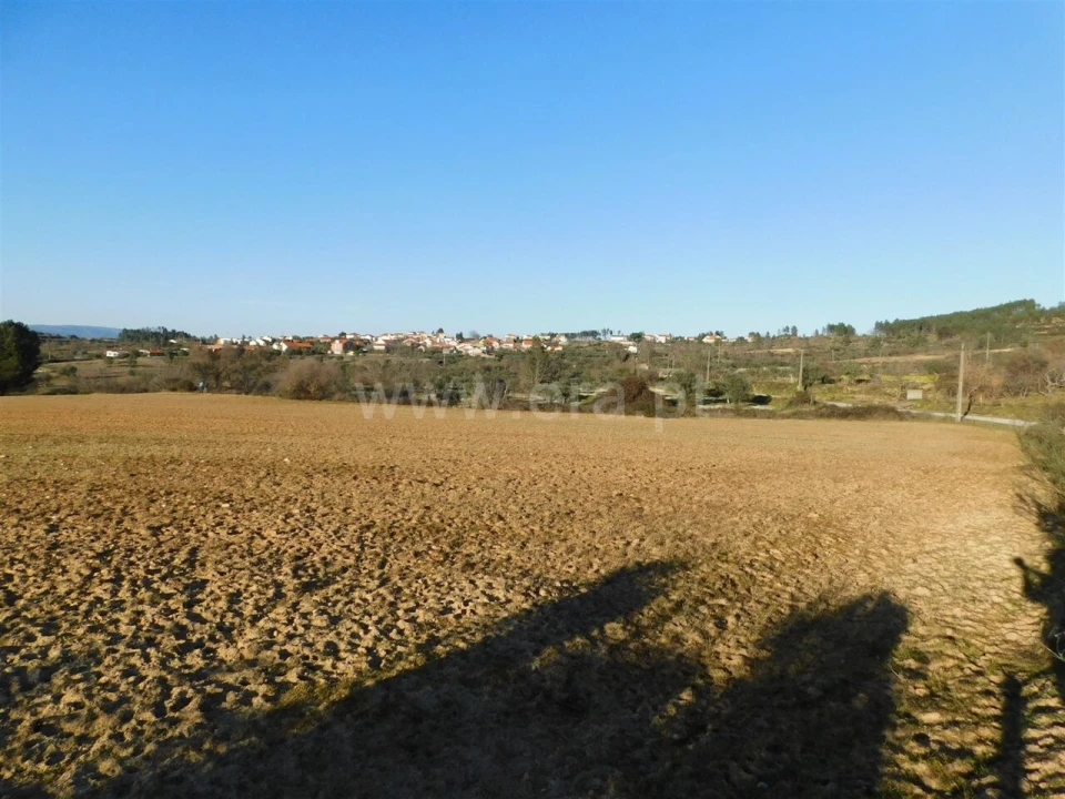 Terreno para Venda em Caria Foto 2