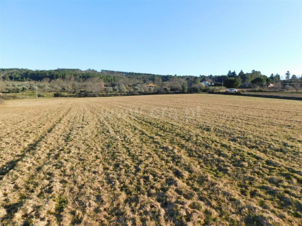 Terreno para Venda em Caria Foto 5