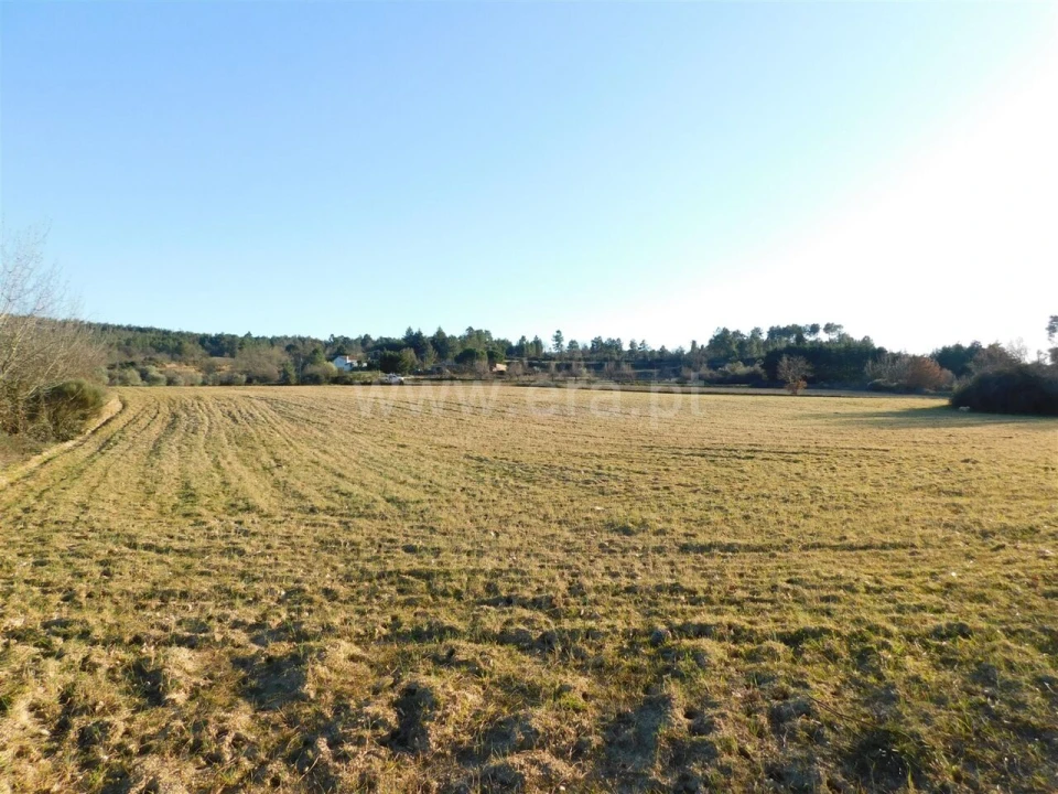 Terreno para Venda em Caria Foto 6