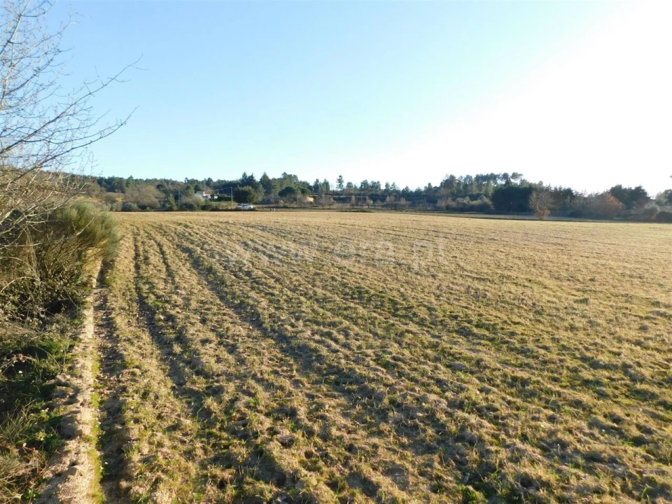 Terreno para Venda em Caria Foto 15