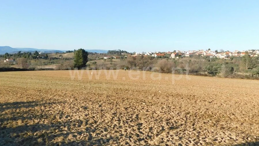 Terreno para Venda em Caria